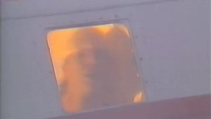 Video Kids  Woodpeckers From Space