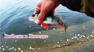 РЫБАЛКА НА ОТВОДНОЙ | МАТЫРСКОЕ ВОДОХРАНИЛИЩЕ