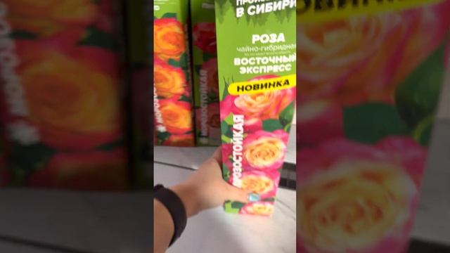 Обзор покупок, розы ? смотреть онлайн