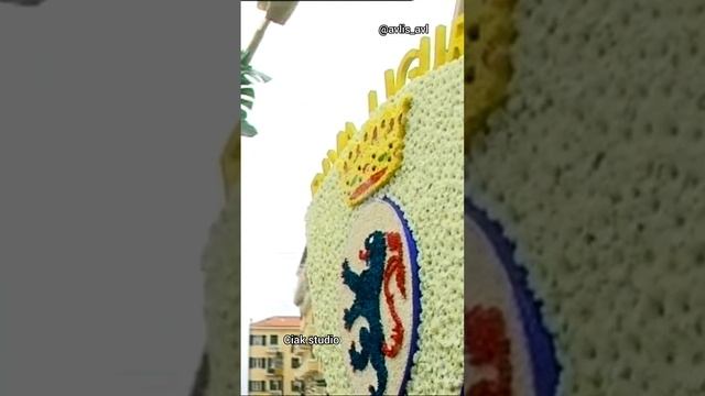 Карнавал Цветов -конкурс флористов в Италии Сан-Ремо 2011 часть 2.
короткое.