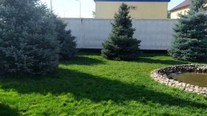 Колония особого режима Черный дельфин