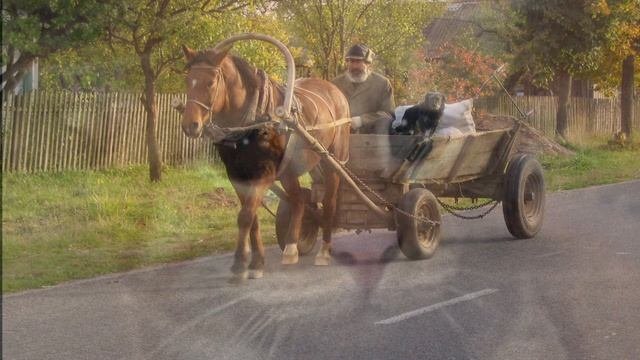 Истории из моего детства. История №1.Про бабушкины коврики. СССР - как это было