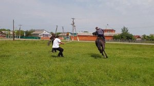 Заездка молодого Кабардинского жеребца. Аул Егерухай.