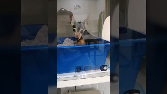 Как не умолимо быстро летит время.... А боль не утихает... Багратион..... смотреть онлайн