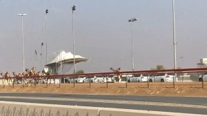 Верблюжьи бега в Эмиратах. Верблюды арабских шейхов. Сколько стоит верблюд?Camel race