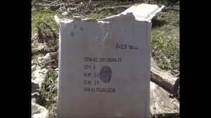 Сайга 7.62х39 1992 года .Обзор карабина. Охота с нарезным. Пристрелка карабина. Холодная пристрелка