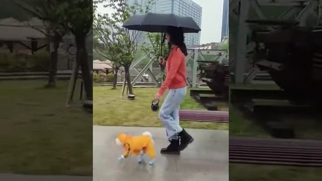 Светоотражающий дождевик с капюшоном для маленьких собак