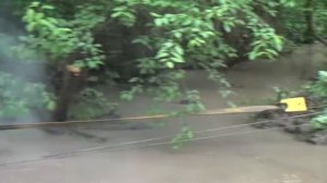 Лебедка для квадроцикла. Цепкие объятия бездорожья 1