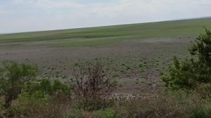 Каховское водохранилище.Вместо воды поля и огороды