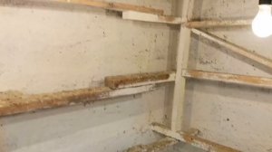 Прибор для Голубятни. Кормление голубей. Dovecote device. pigeon feeding.