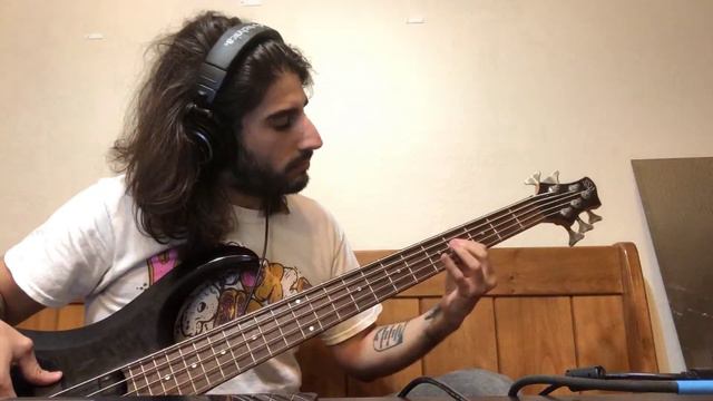 Citizen - In the Middle Of It All (Bass Cover) смотреть онлайн