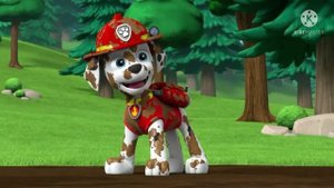 Эверест и Маршал (заказ) Everest and Marshal (order)