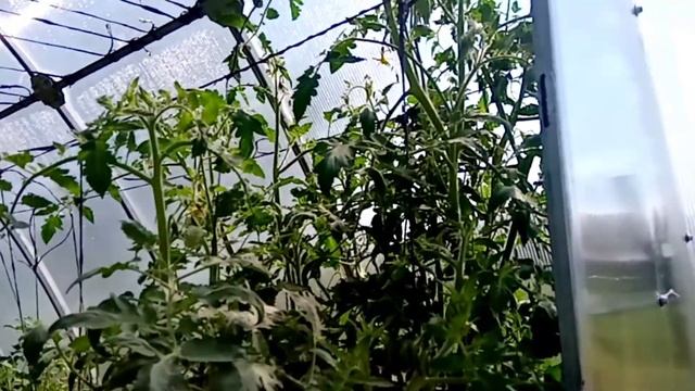 Про огород и преображение цветника своими руками.