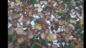 Листья прошлогодние. Майя Кристалинская.