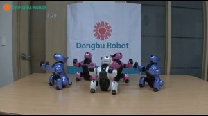 Корейские роботы танцуют под Леди Гагу