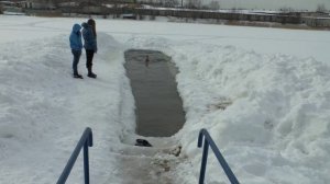 Моржи России