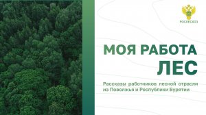 #МояРаботаЛес: Рассказы работников лесной отрасли из Поволжья и Республики Бурятии