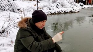 Запускаю форель в пруд. Форель подъест верховку подрастет и будет интересная рыбалка и рыба к столу