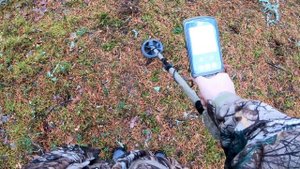 Катушка снайперка 6" для Minelab Equinox - тесты