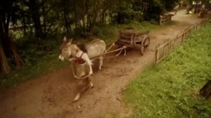 "Детский": "Золушка"