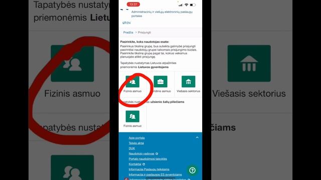 Регистрация на сайте налоговой Литвы VMI /часть 1 . Заполняем декларацию #путьмигрантки