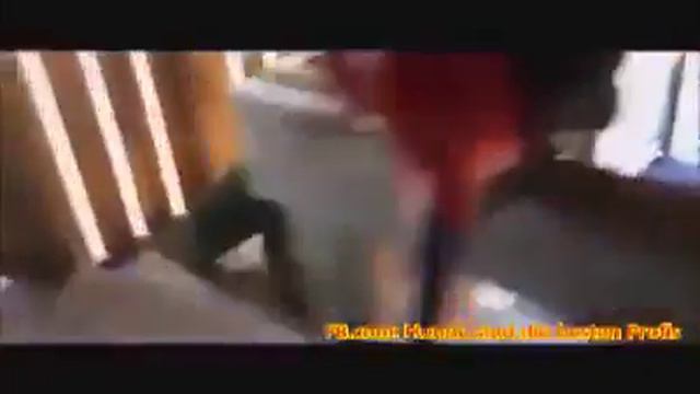 рабочая собака