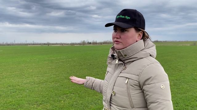 Сколько времени можно хранить газон в рулонах