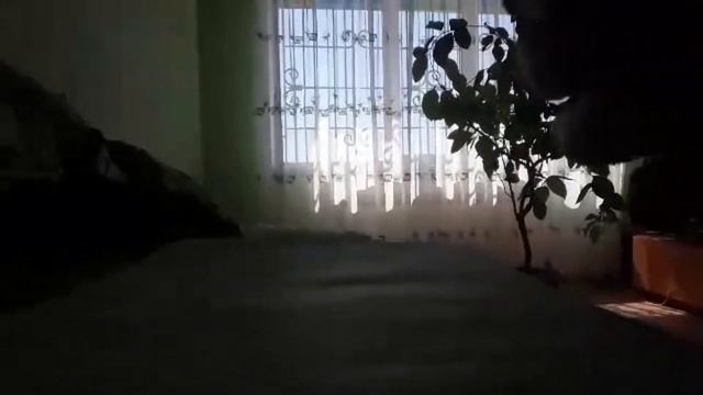 Как приклеить объявления без клея смотреть онлайн