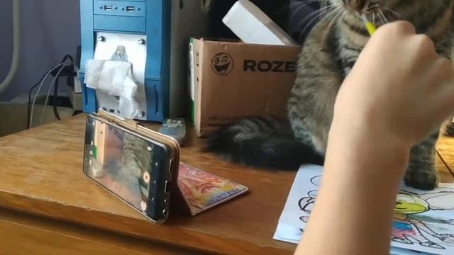 День из жизни кота, кошка рисует ?, приколы с котами , художник,кошка играет смотреть онлайн