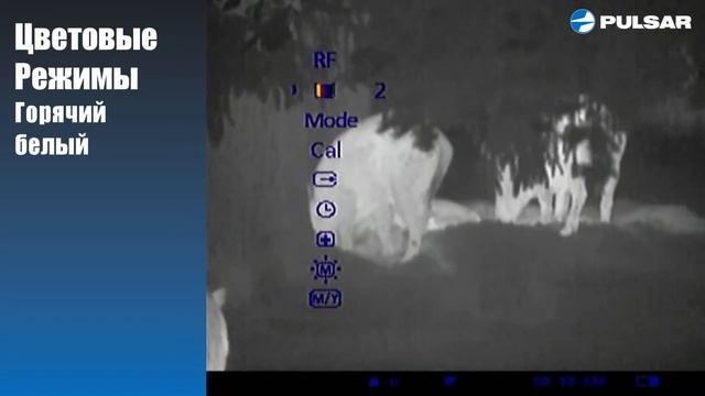 Quantum XD Pulsar Цветовые режимы смотреть онлайн