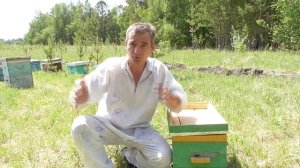 Как предотвратить роение на пасеке.