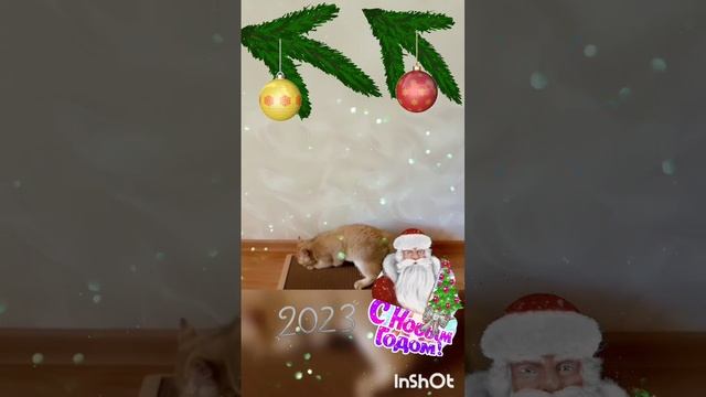 С Наступающим! ??