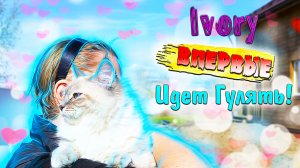 Котята Первый раз идут Гулять на Улицу?Папа Кот всегда Рядом‼
