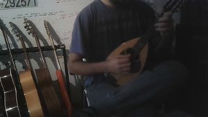 Mandolin Suzuki M-30