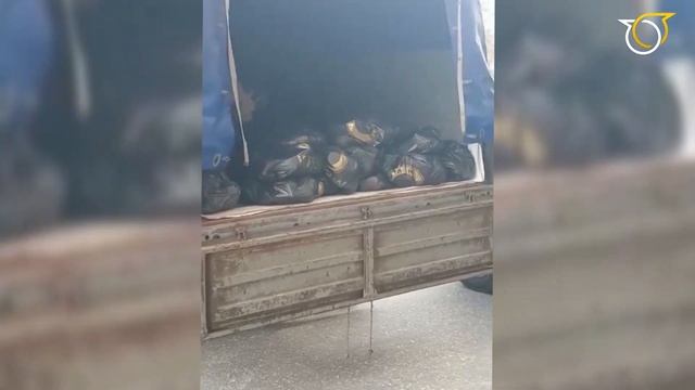 В студии директор Петушинского комплексного центра социального обслуживания населения Елена Леняева смотреть онлайн