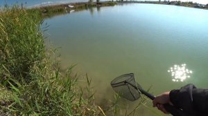 Сазан на ультралайт #top #рыбалка #2023 #карп #ультралайт #1k #спиннинг #fishing