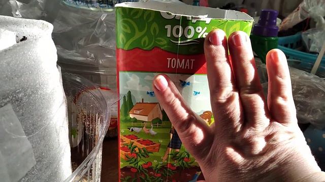 Сею лук- порей и Эксебишен семенами смотреть онлайн