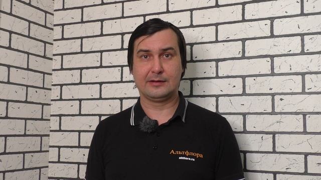 Кагатник Антигниль - экологичный протравитель картофеля от болезней. Обзор смотреть онлайн