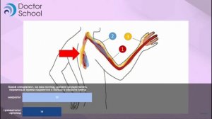 Клинический случай боль в плече вследствие шейной радикулопатии