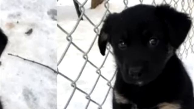 Камера наблюдения зафиксировала странное изображение. Увидев его, люди были потрясены! смотреть онлайн