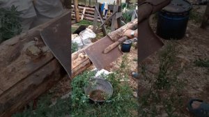 ошкуривание бревна лёгкий способ