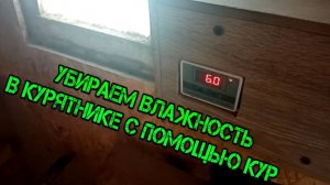 УБИРАЕМ ВЛАЖНОСТЬ В КУРЯТНИКЕ С ПОМОЩЬЮ КУРОЧЕК