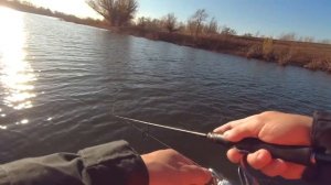 Ловим жадного окуня на воблеры