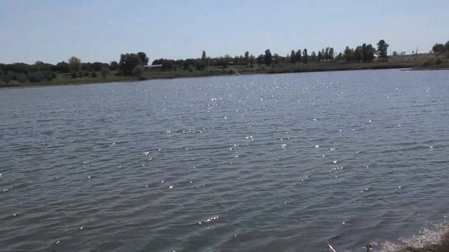 женам тоже по силам карповая ловля! карп на макушатник смотреть онлайн