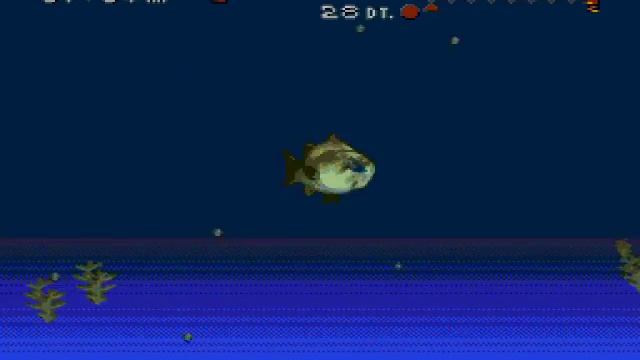 Play Bass Masters Classic Pro Edition Online | Gameplay смотреть онлайн