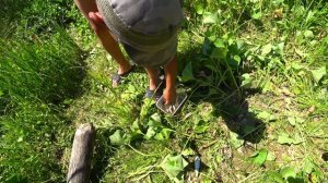 РЫБАЛКА,ГОТОВИМ УХУ НА ПРИРОДЕ!