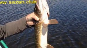 Рыбалка в Астрахани. Рыболовная база в дельте Волги.