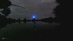 ПОКЛЁВКИ КАРПА! Сигнализаторы!!!