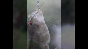 Рыбалка в Одинцовском районе
