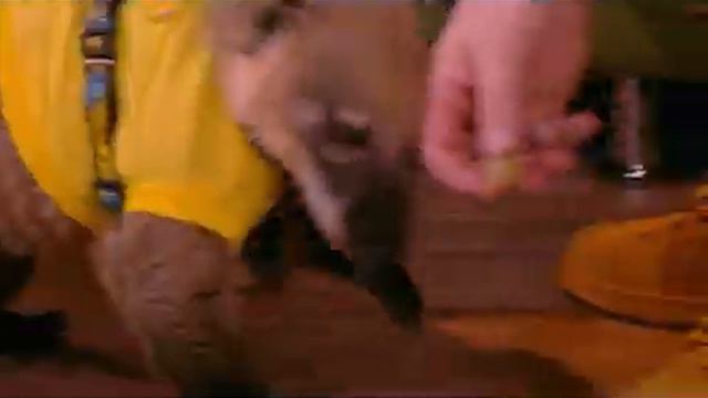 передача Живые истории . Носуха Тимоша смотреть онлайн